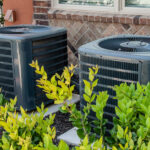 Essential spiritual oils for you