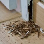 What Does a Handyman Do?