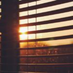 Are Termite Inspections in Longview Necessary?