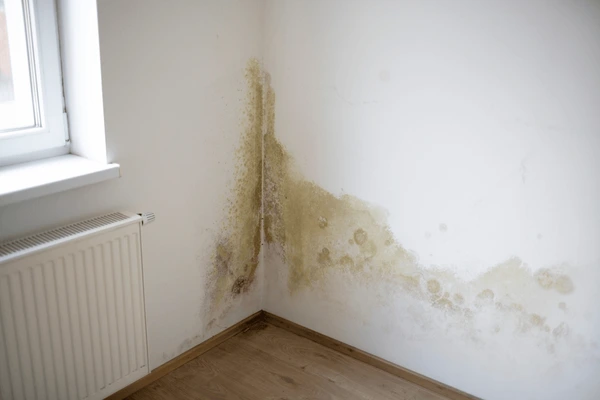 Water seepage