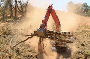 Oklahoma Land Clearing Solutions
