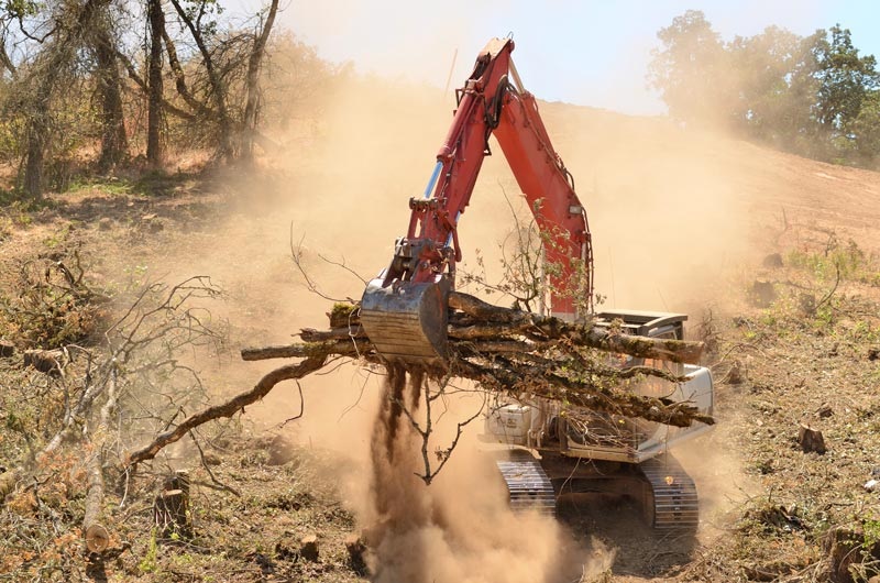 Oklahoma Land Clearing Solutions
