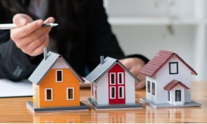 ECO grant application