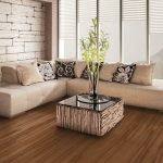 Is It a Leak or Just Condensation? Knowing the Difference