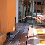 Bed Bugs vs. Fleas vs. Carpet Beetles: A Hot Bugz Guide to Telling What You Actually Have