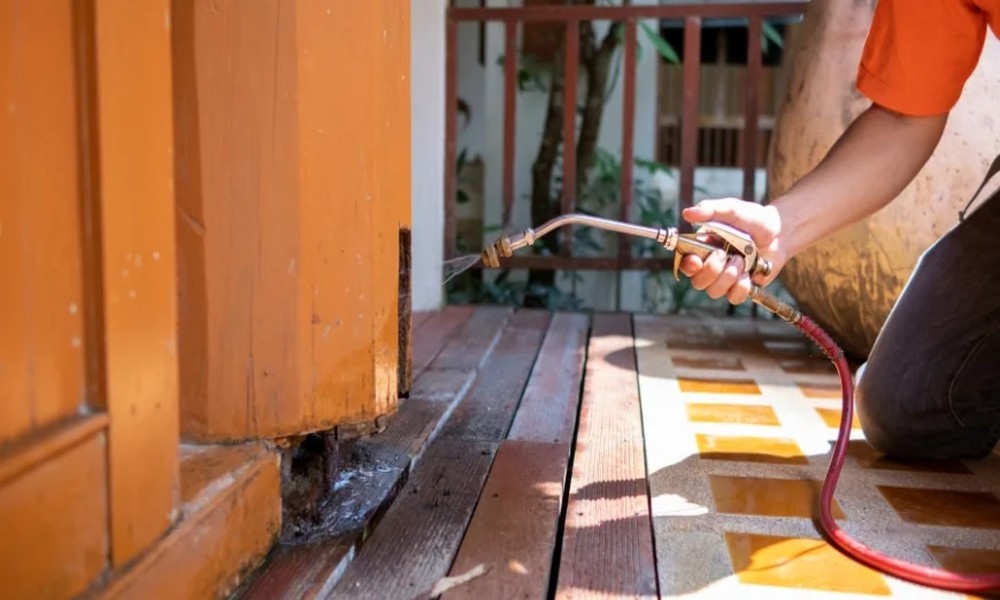 Selling Your Reston Home: Fixing Pest Red Flags